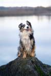 Laura RODRIGUES - OBJECTIF PHOTO