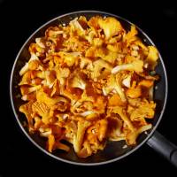 Sebastien JOUBERT - JOUBERT